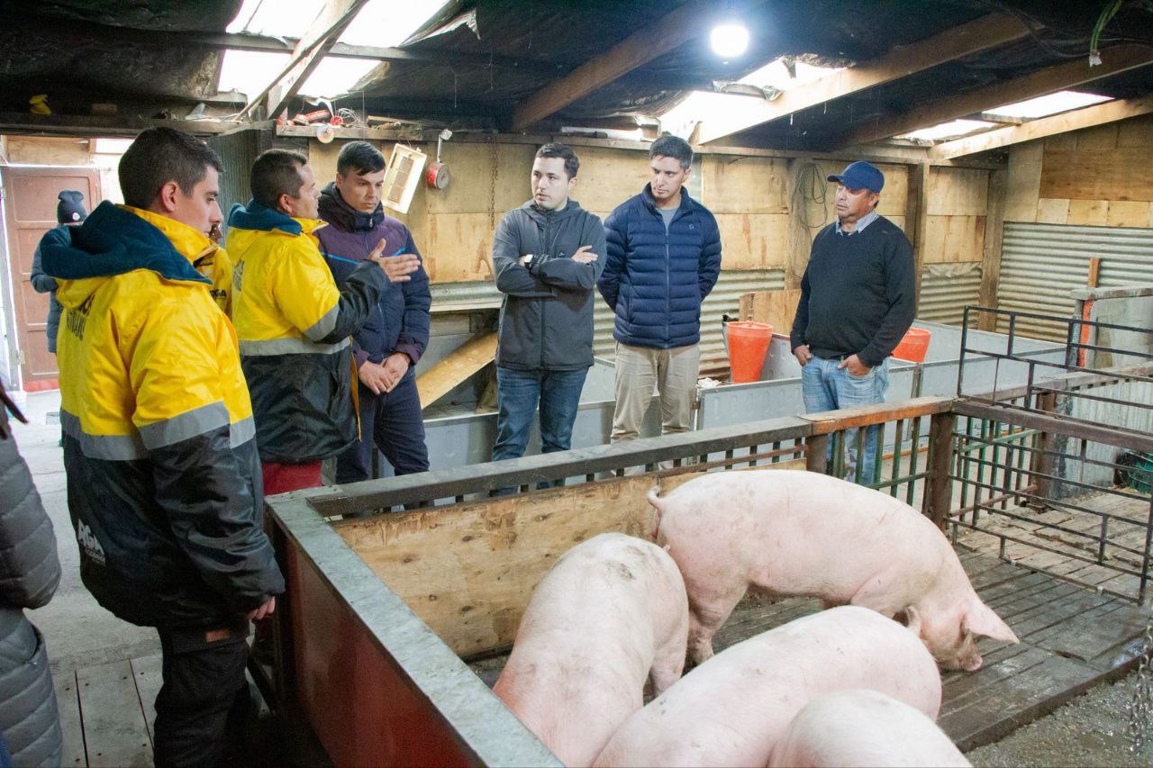 Programa de control de la producción porcina