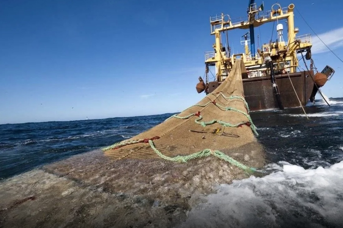 &#8220;El coloniaje del Atlántico Sur y la pesca&#8221;