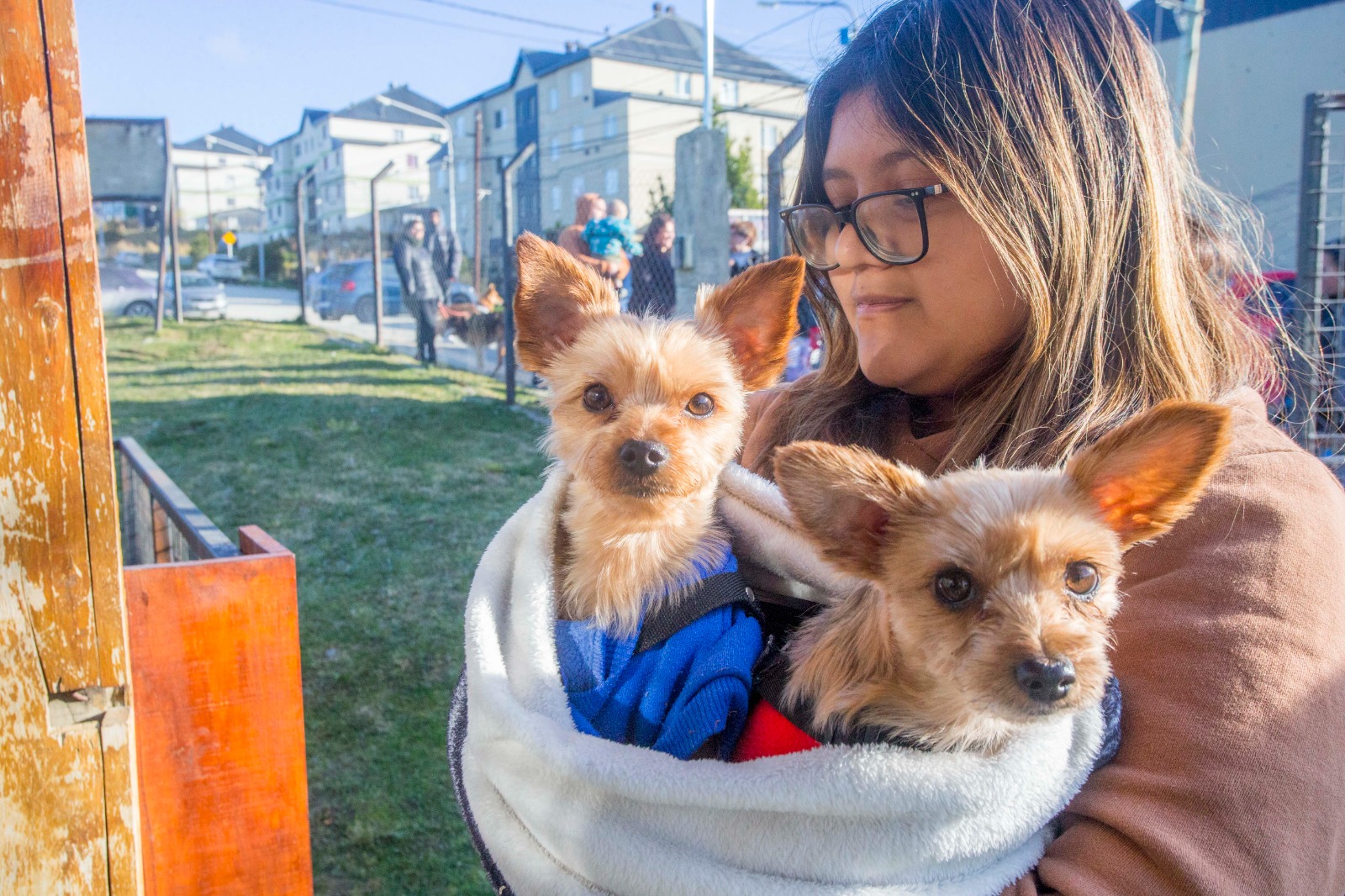 En barrio Río Pipo, atendieron a más de 200 mascotas