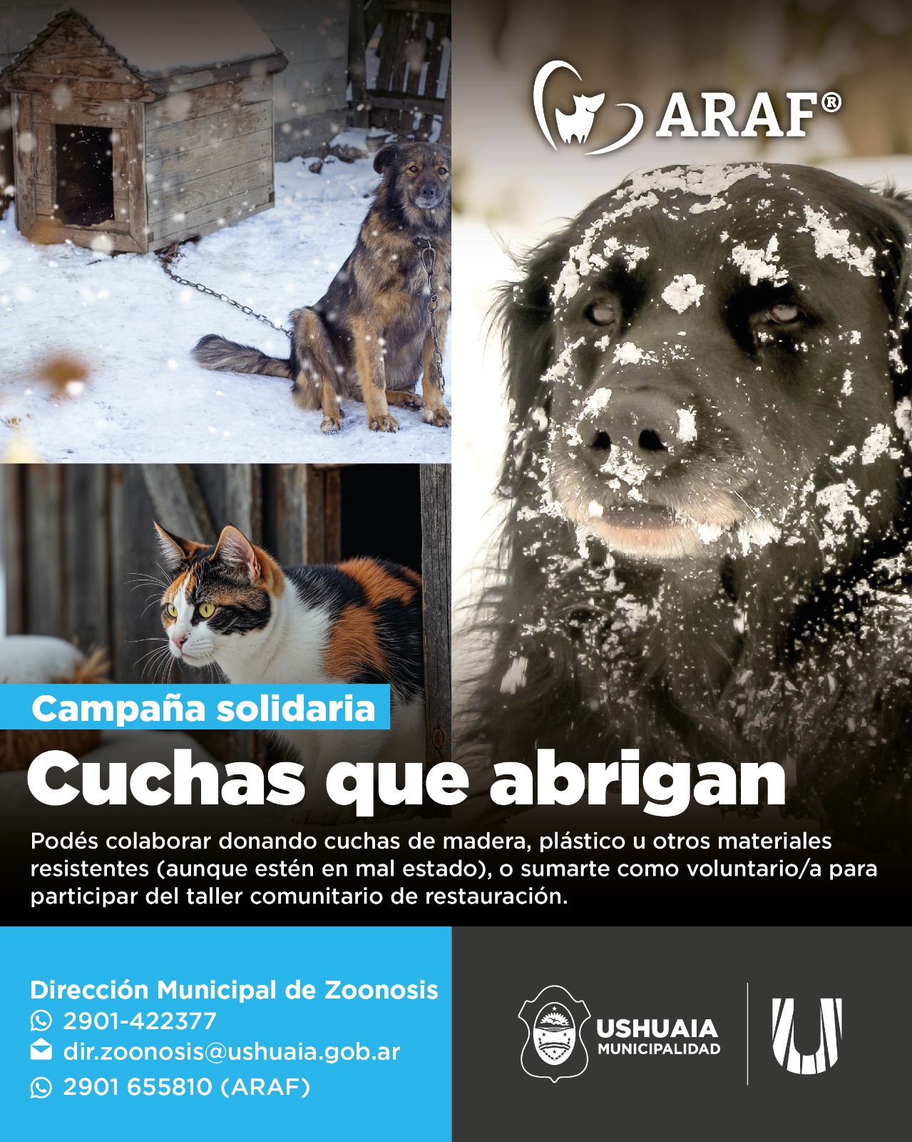 Programa comunitario, la campaña ‘Un Hogar para Cada Patita’