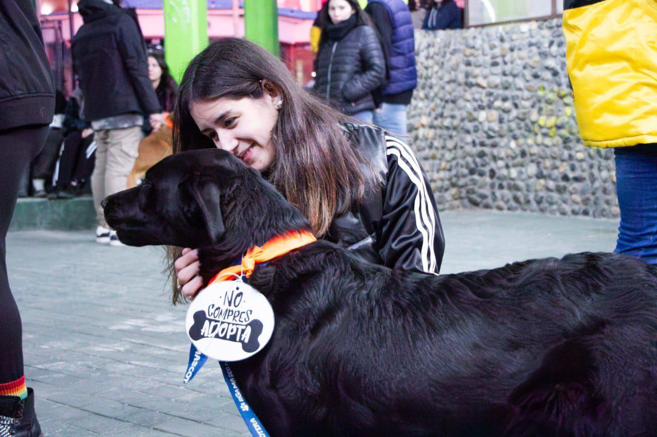 En el Dia del Amigo, el Municipio fortalece la tenencia responsable con una &#8220;Jornada de Adopción&#8221;