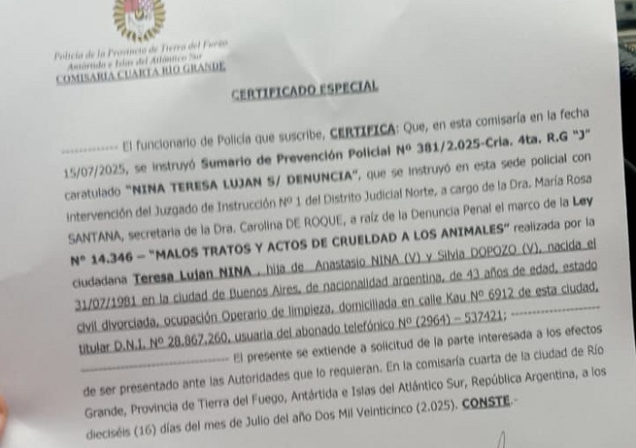 Cómo fue el procedimiento de rescate de los perros en un criadero