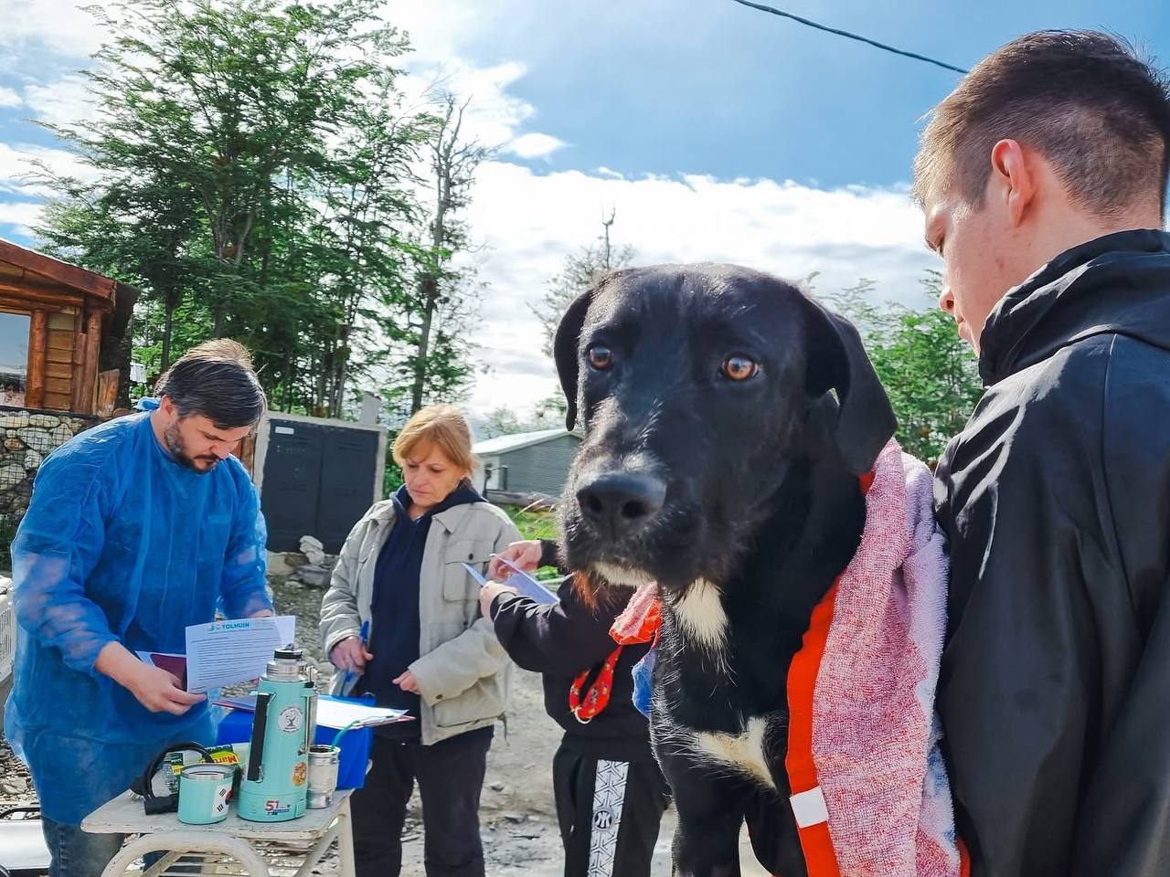 A un año de la emergencia zoonótica, presentaron el informe de gestión en salud veterinaria y desarrollo sostenible