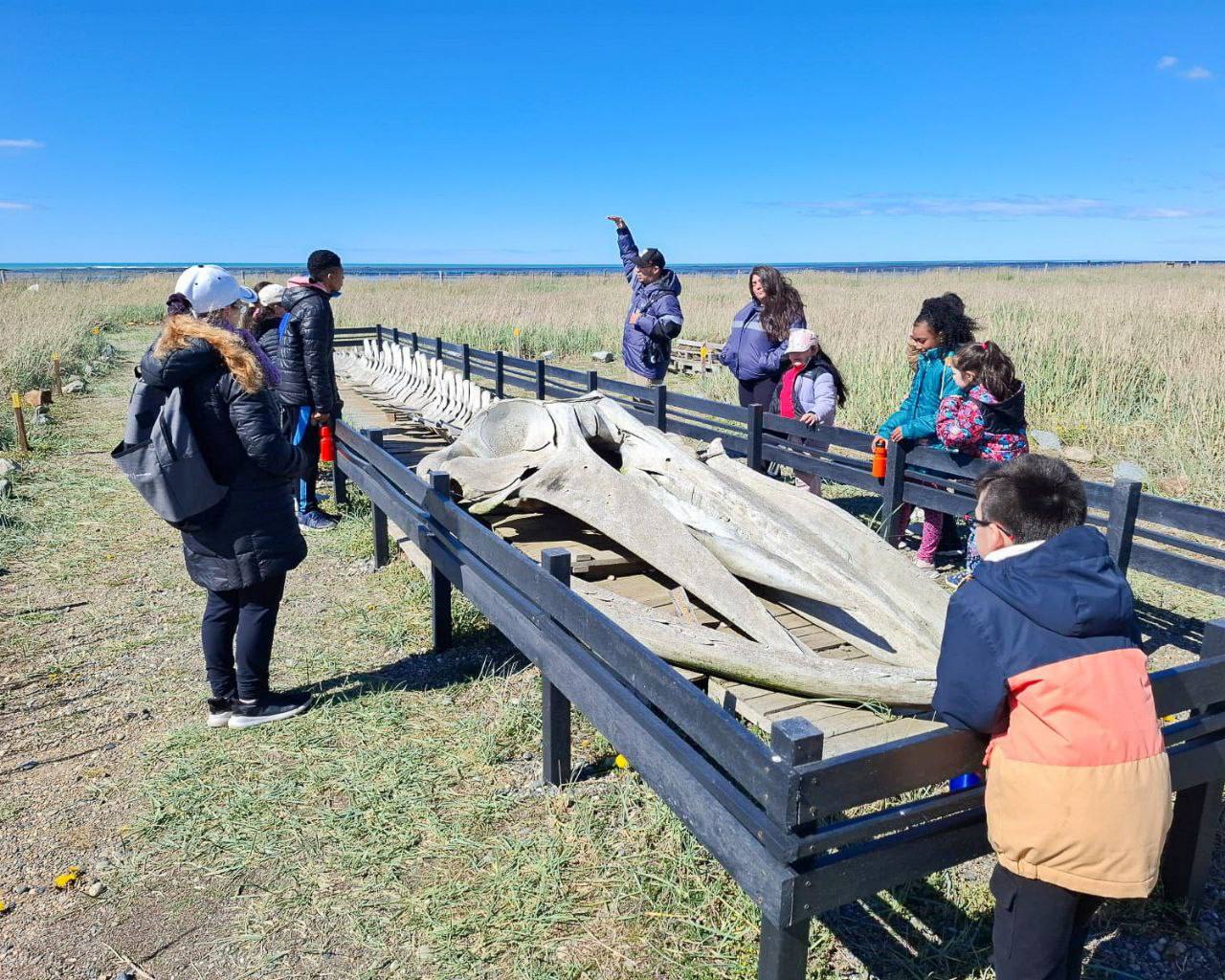 Durante abril, sumáte a las actividades del Centro de Interpretación Ambiental